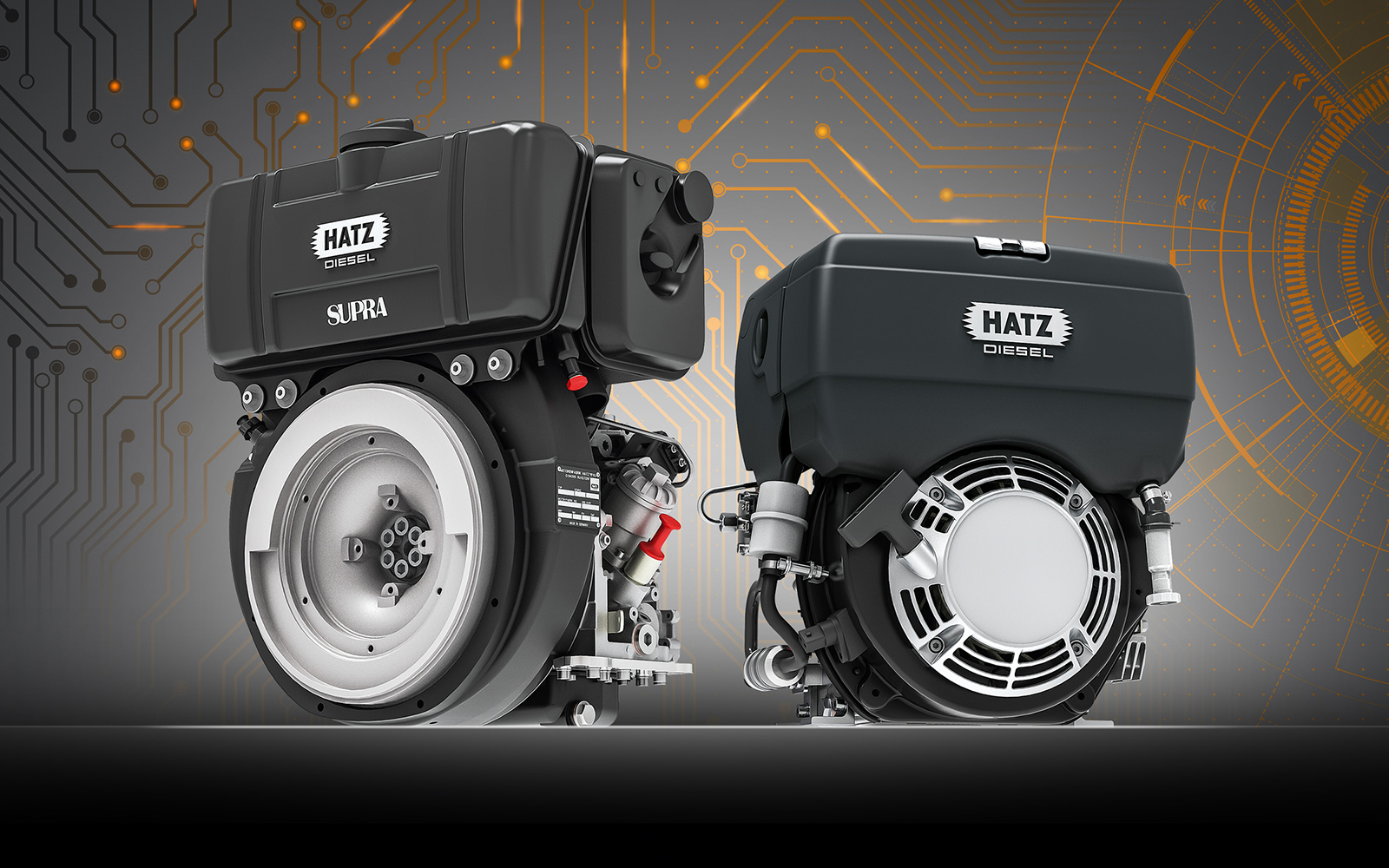 Electronic Control for Single-Cylinder Engines